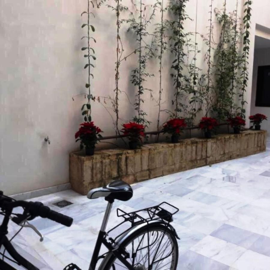 Estudio En Pleno Centro De Sevilla By Msholidays Buitenkant foto